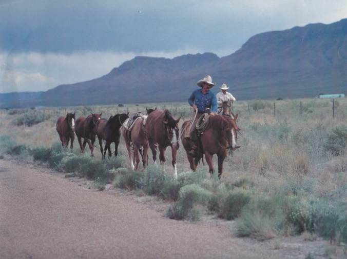 clay-linley-and-other-cowboys-smaller